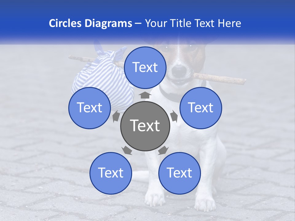 A Brown And White Dog Holding A Stick In Its Mouth PowerPoint Template