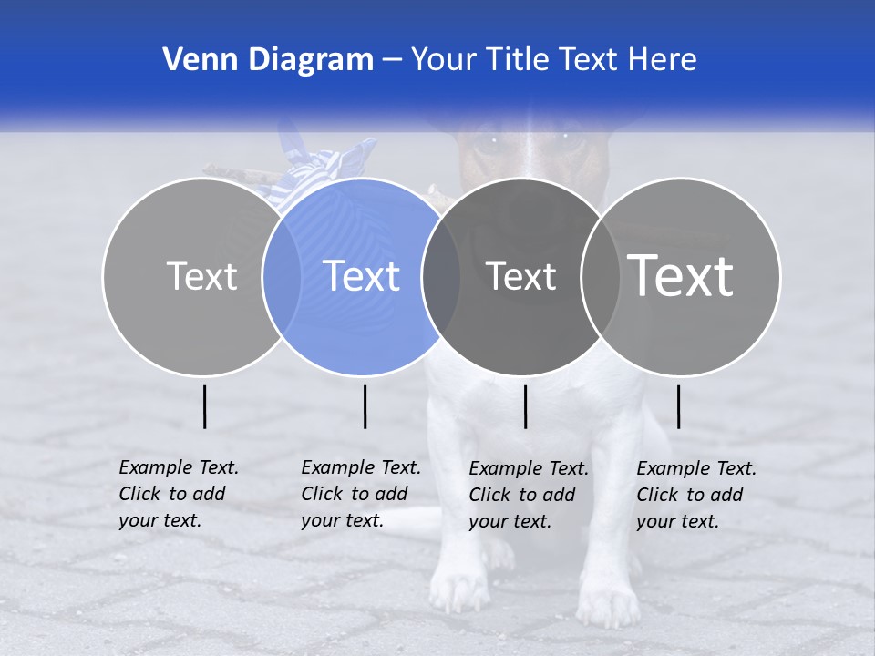 A Brown And White Dog Holding A Stick In Its Mouth PowerPoint Template