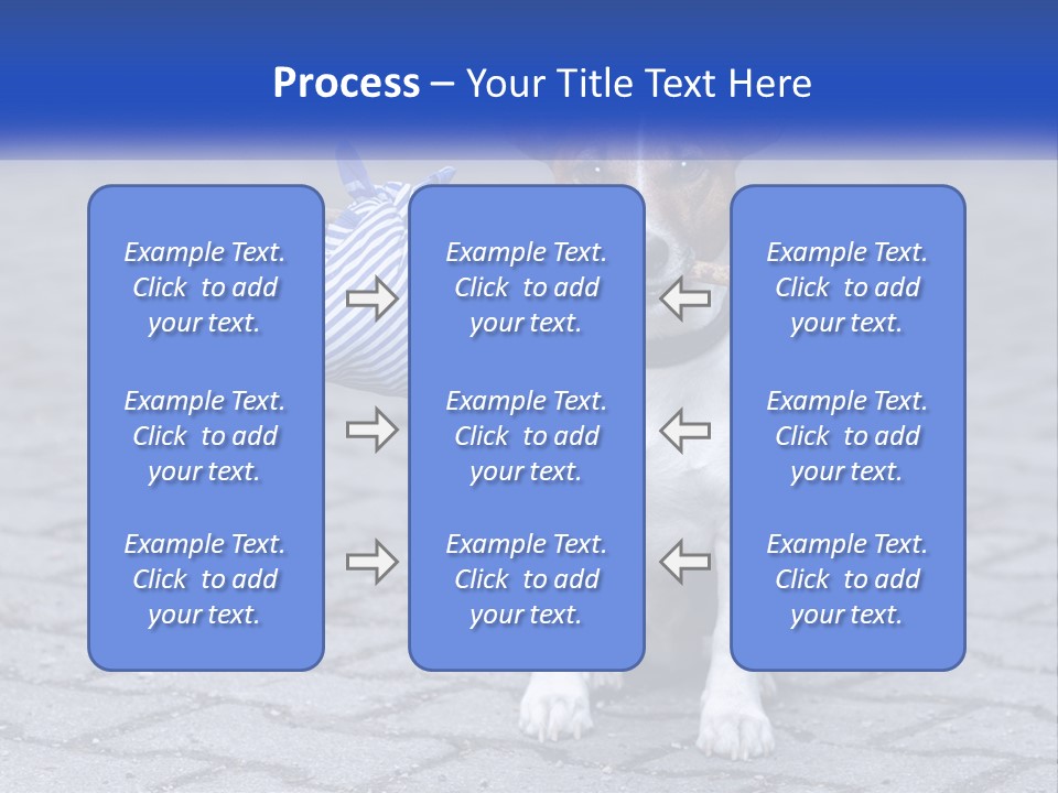 A Brown And White Dog Holding A Stick In Its Mouth PowerPoint Template