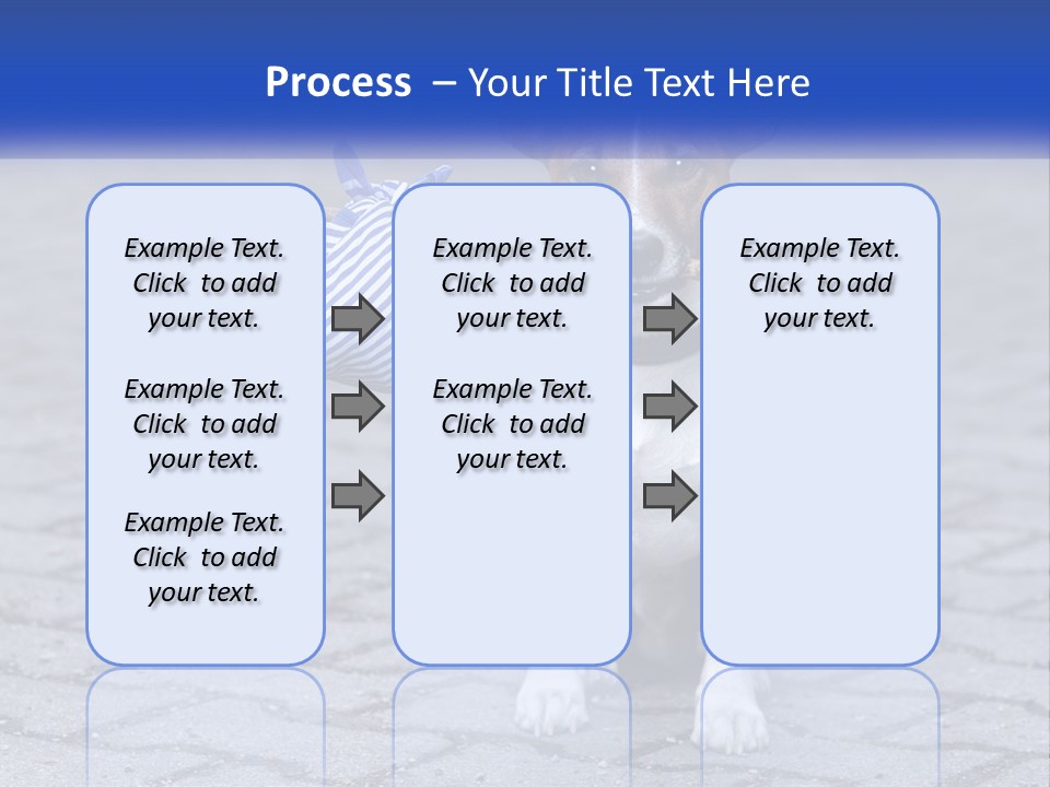 A Brown And White Dog Holding A Stick In Its Mouth PowerPoint Template