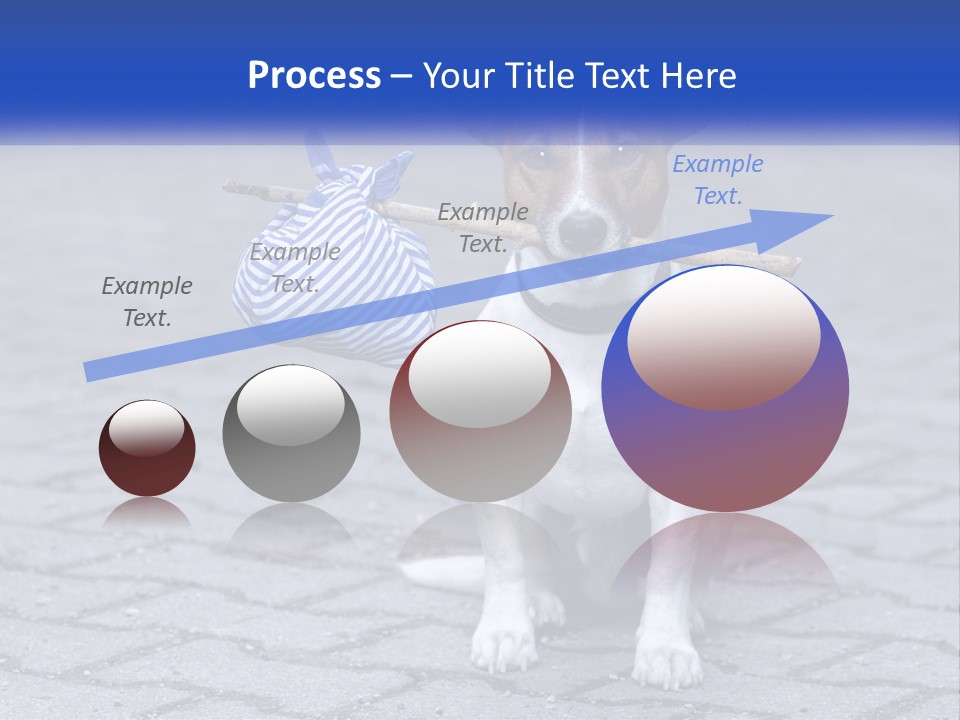 A Brown And White Dog Holding A Stick In Its Mouth PowerPoint Template