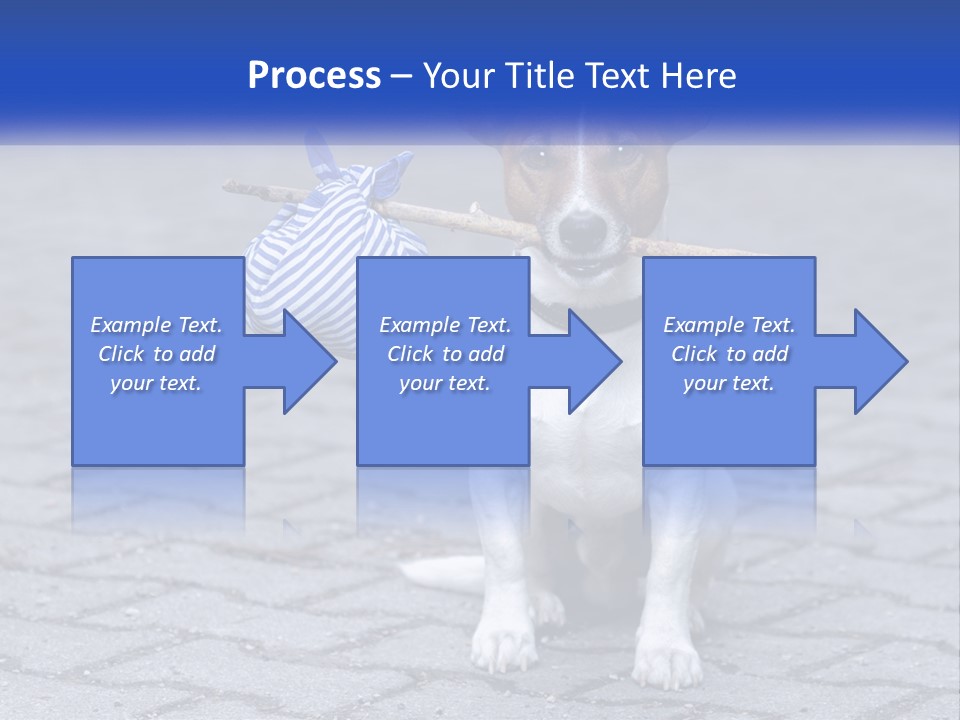 A Brown And White Dog Holding A Stick In Its Mouth PowerPoint Template