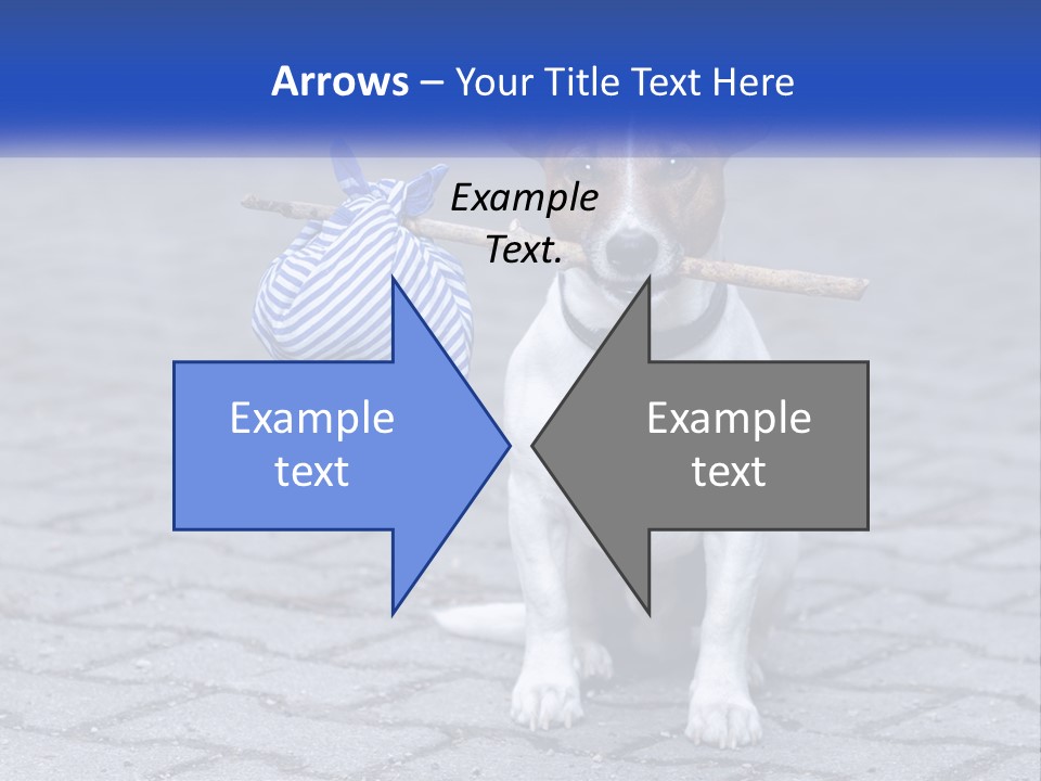 A Brown And White Dog Holding A Stick In Its Mouth PowerPoint Template