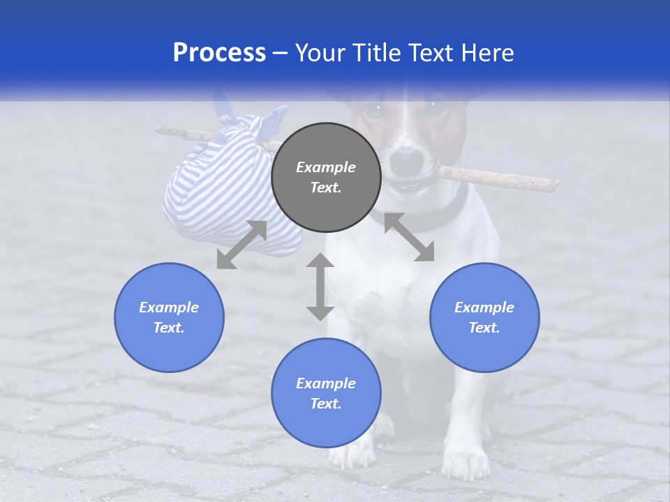 A Brown And White Dog Holding A Stick In Its Mouth PowerPoint Template