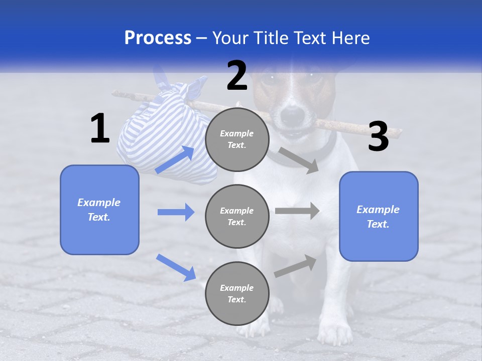 A Brown And White Dog Holding A Stick In Its Mouth PowerPoint Template