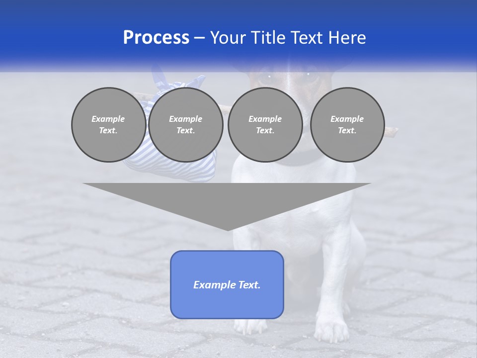 A Brown And White Dog Holding A Stick In Its Mouth PowerPoint Template