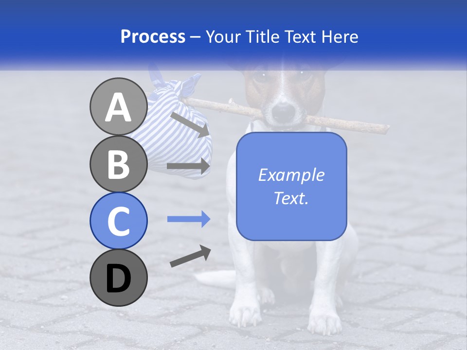 A Brown And White Dog Holding A Stick In Its Mouth PowerPoint Template