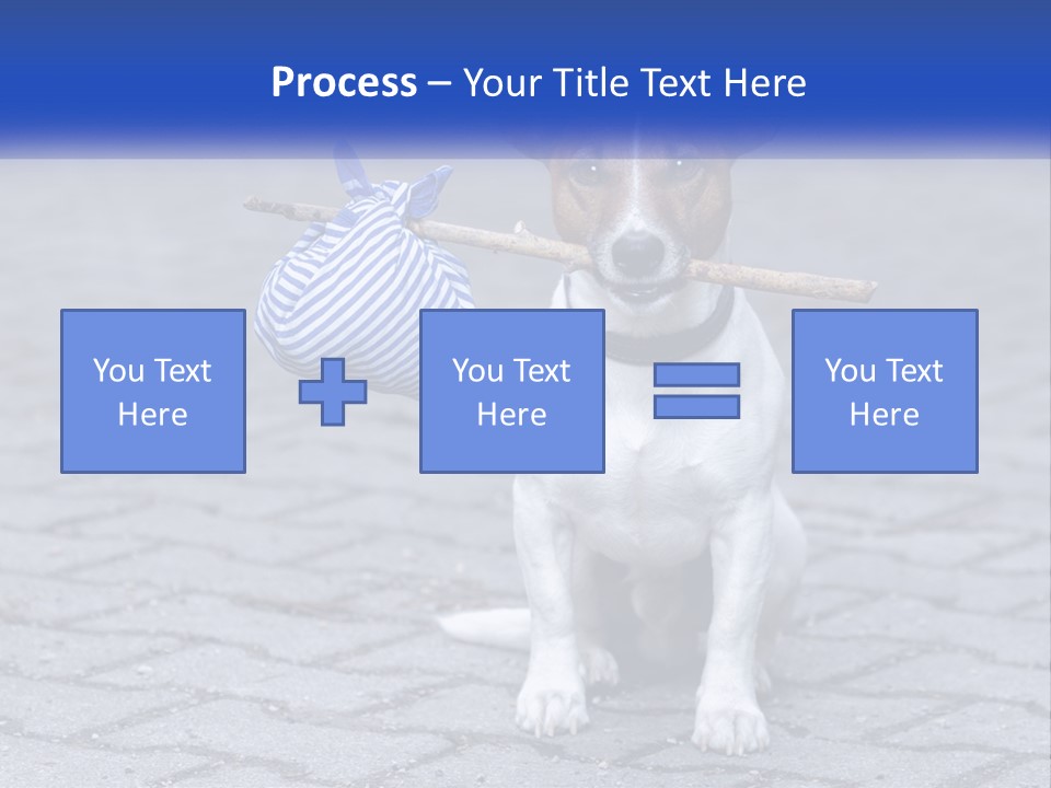 A Brown And White Dog Holding A Stick In Its Mouth PowerPoint Template