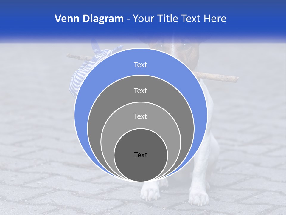 A Brown And White Dog Holding A Stick In Its Mouth PowerPoint Template