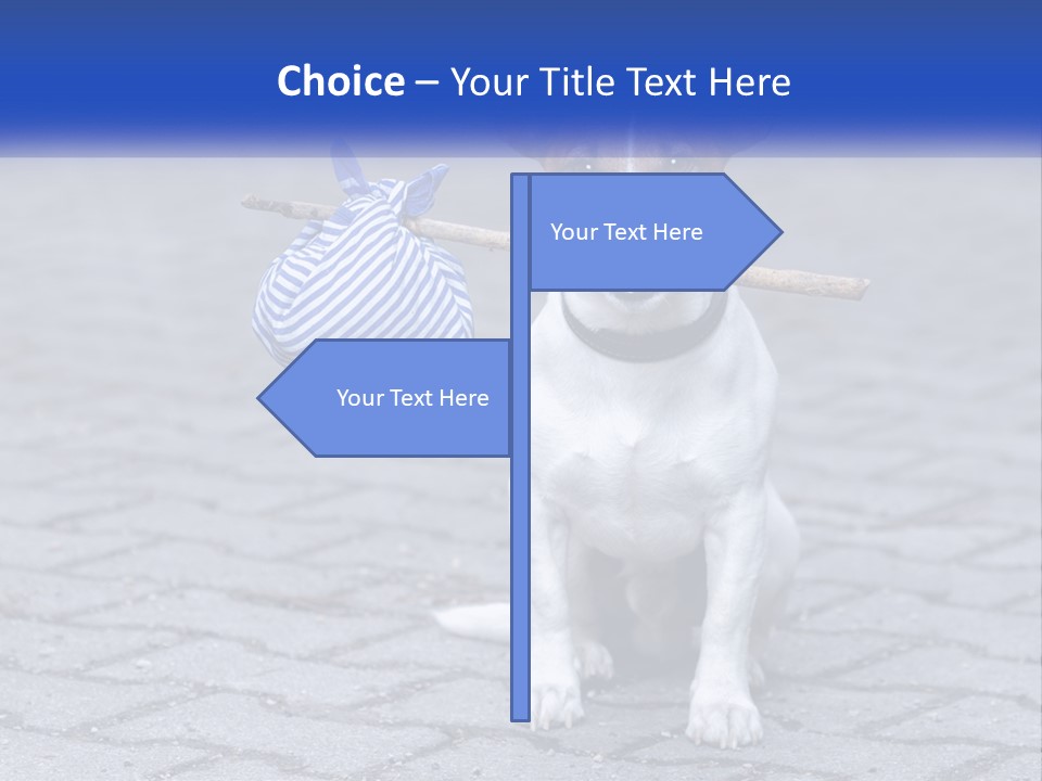 A Brown And White Dog Holding A Stick In Its Mouth PowerPoint Template