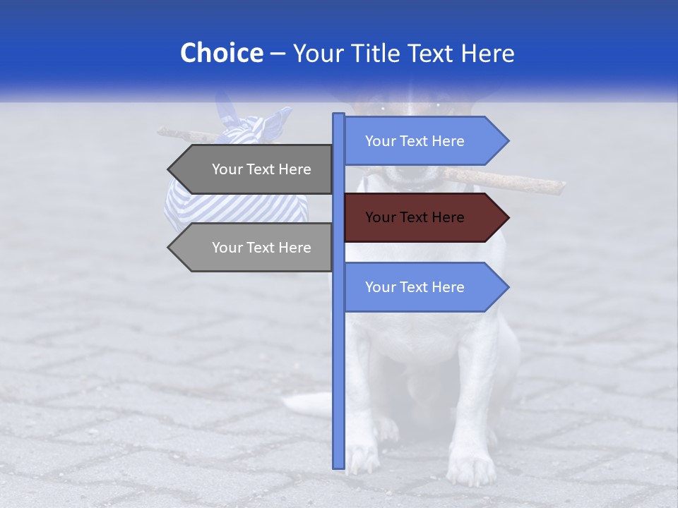 A Brown And White Dog Holding A Stick In Its Mouth PowerPoint Template