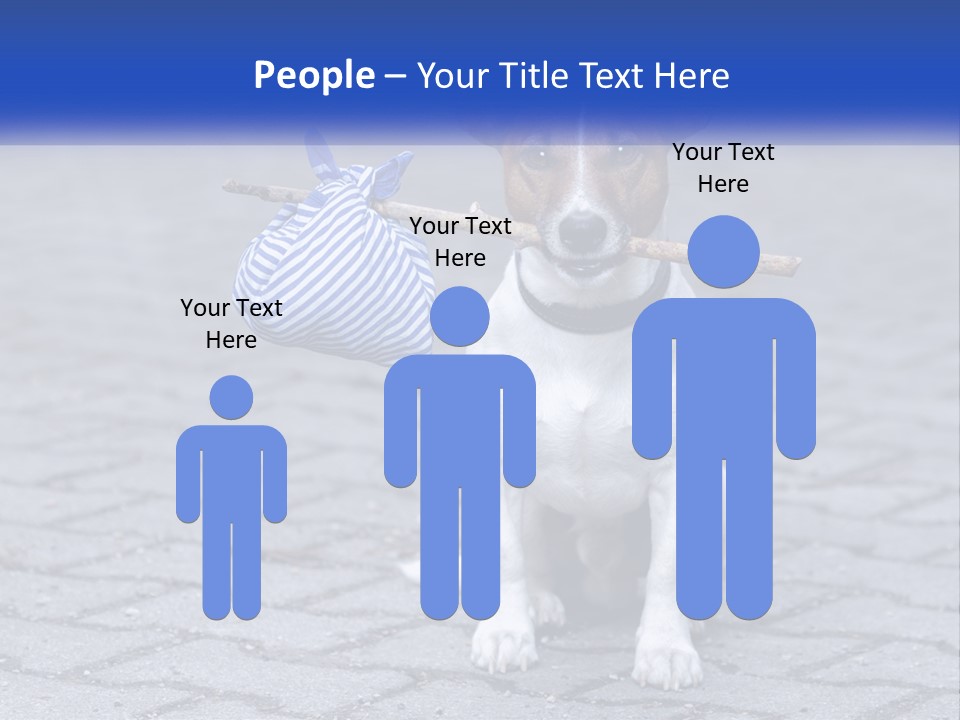 A Brown And White Dog Holding A Stick In Its Mouth PowerPoint Template