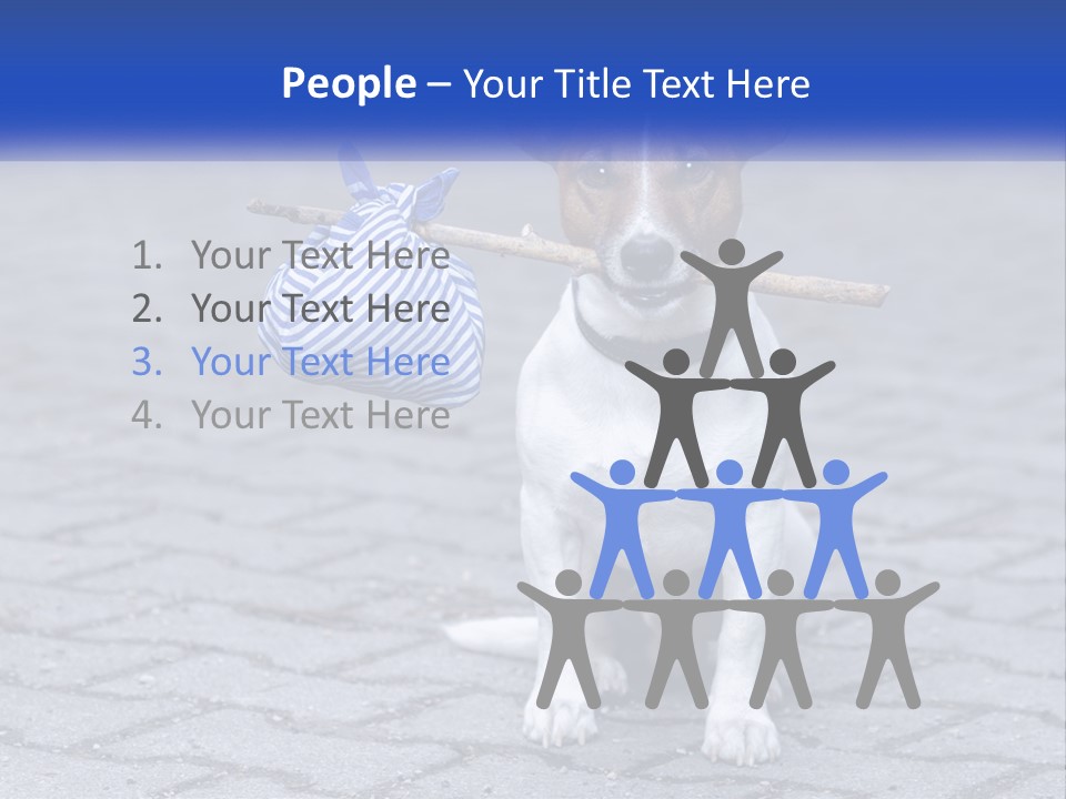 A Brown And White Dog Holding A Stick In Its Mouth PowerPoint Template