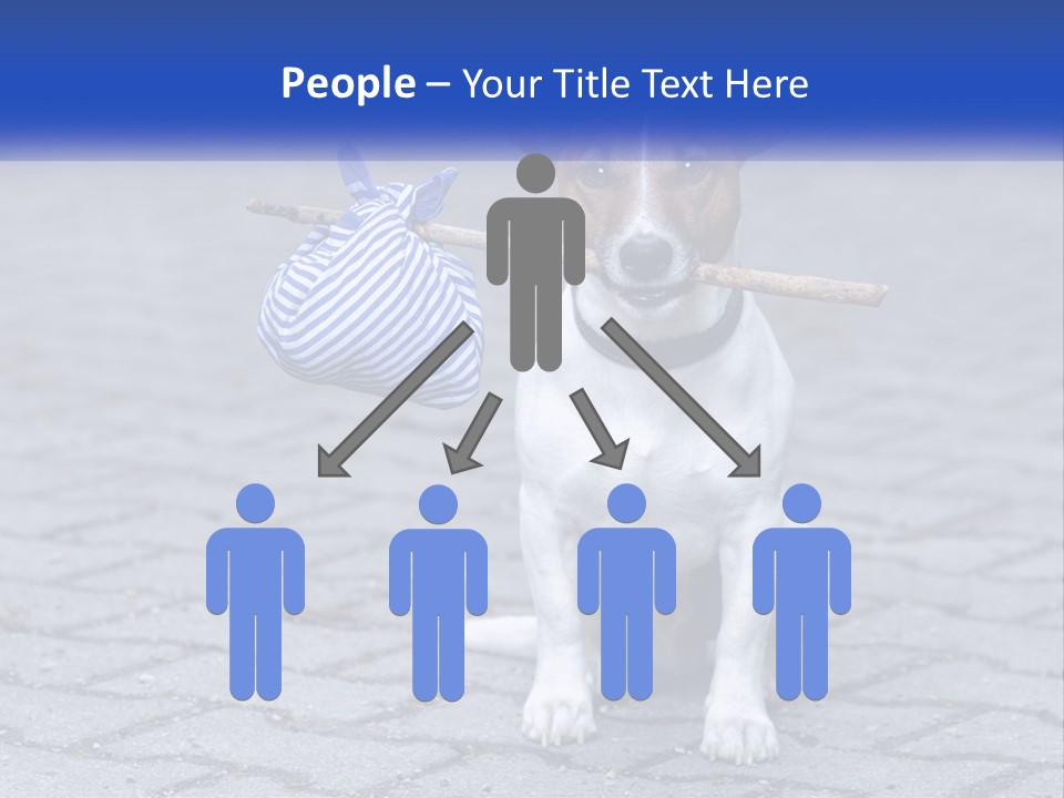 A Brown And White Dog Holding A Stick In Its Mouth PowerPoint Template