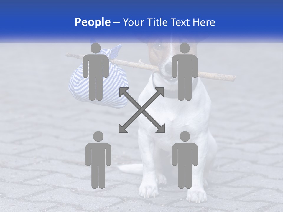 A Brown And White Dog Holding A Stick In Its Mouth PowerPoint Template