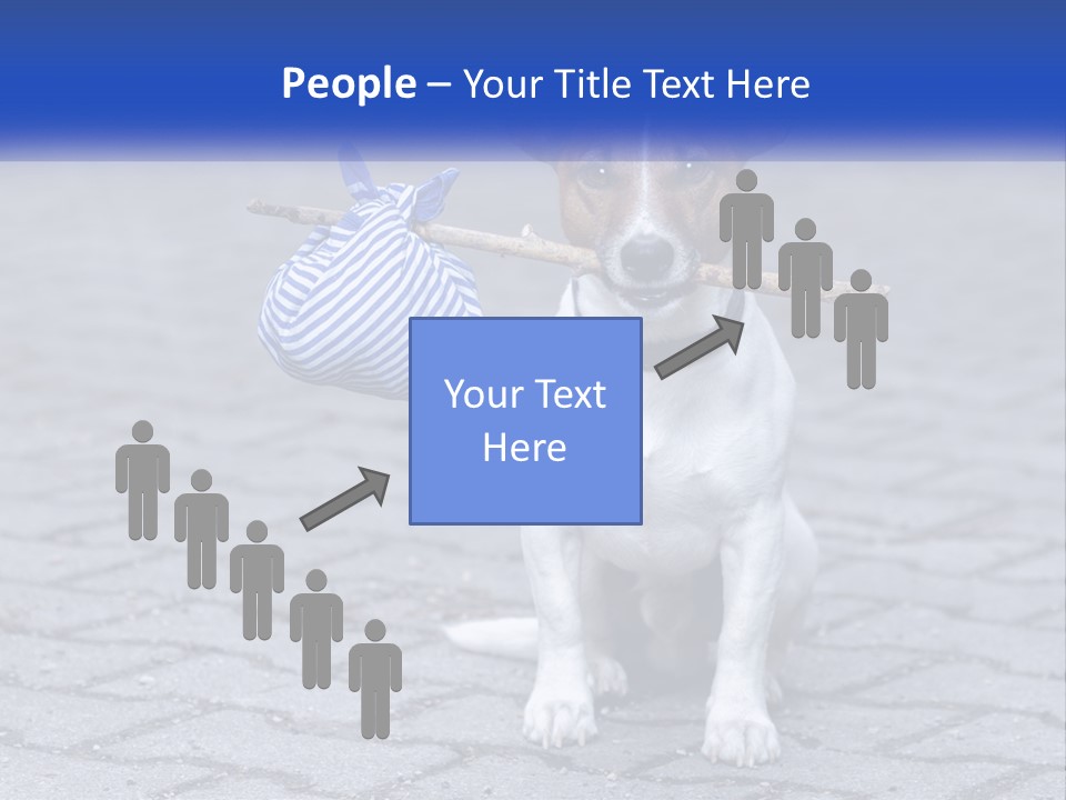 A Brown And White Dog Holding A Stick In Its Mouth PowerPoint Template