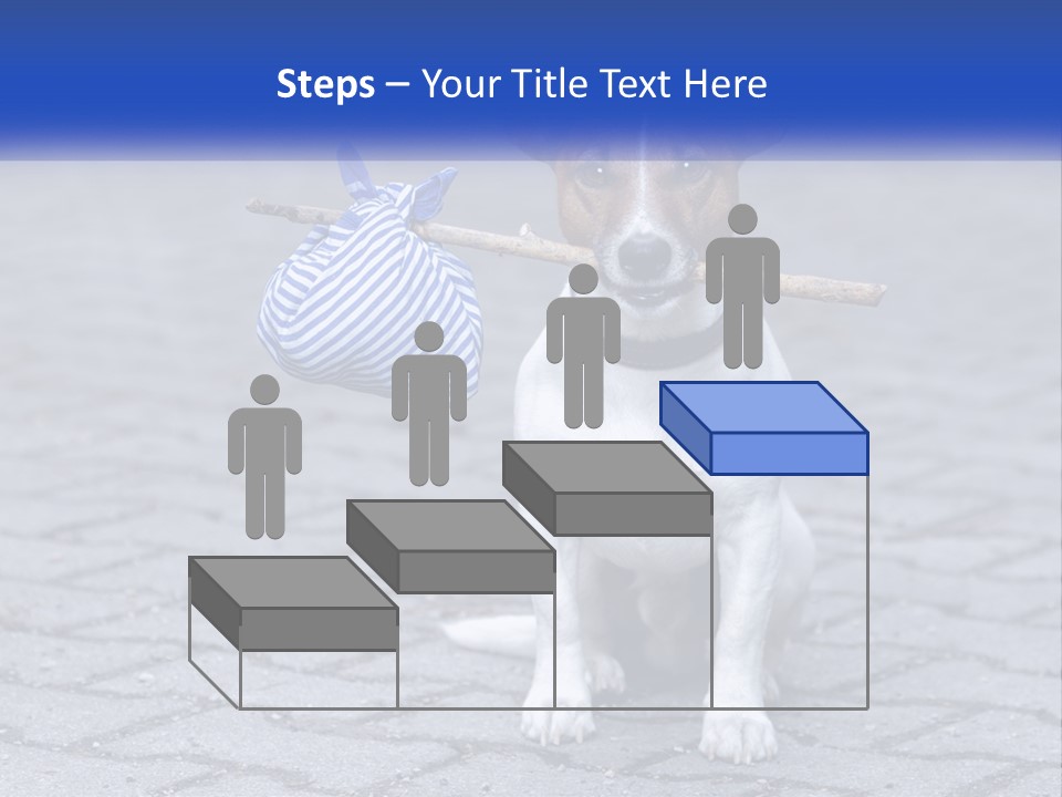 A Brown And White Dog Holding A Stick In Its Mouth PowerPoint Template