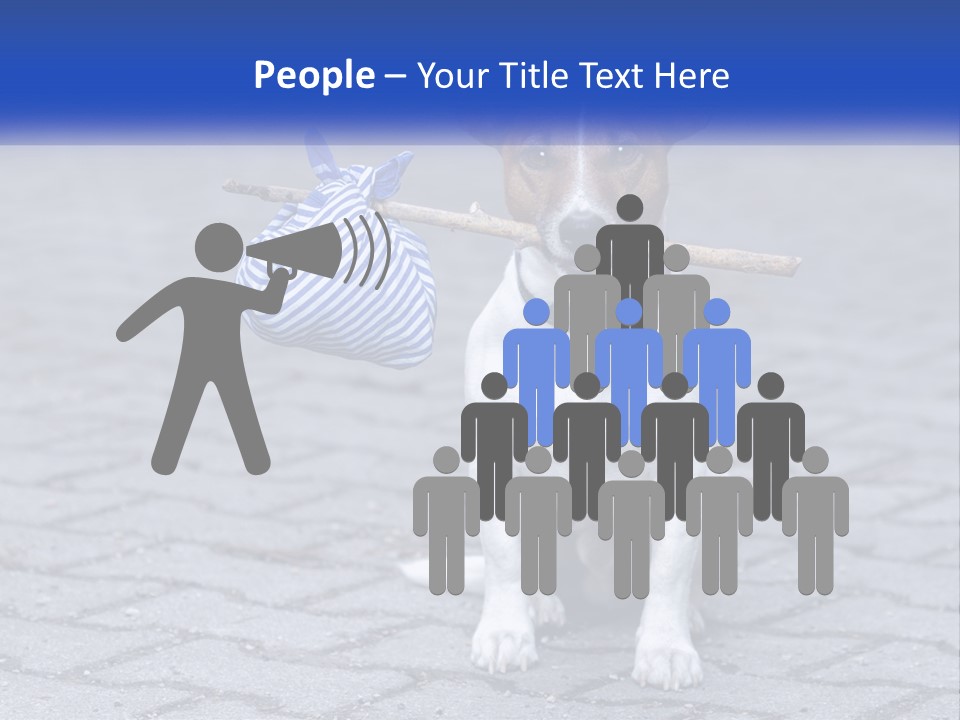 A Brown And White Dog Holding A Stick In Its Mouth PowerPoint Template