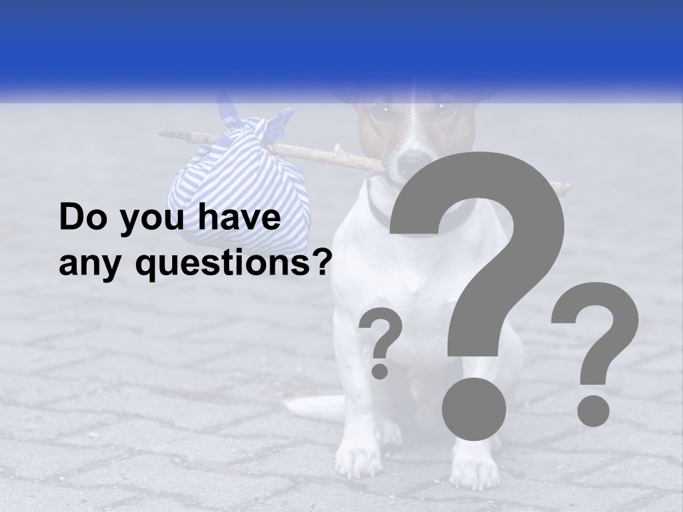 A Brown And White Dog Holding A Stick In Its Mouth PowerPoint Template