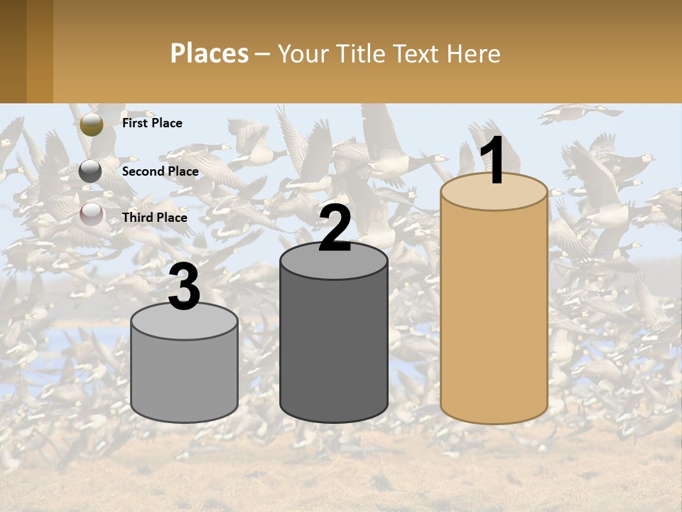 A Flock Of Birds Flying Over A Dry Grass Field PowerPoint Template