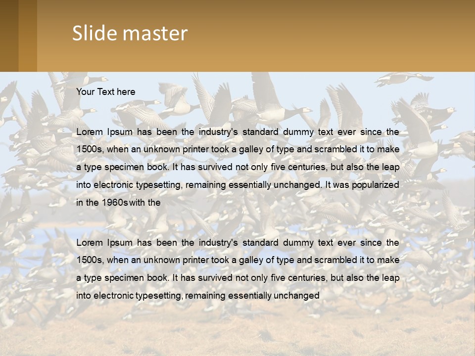 A Flock Of Birds Flying Over A Dry Grass Field PowerPoint Template
