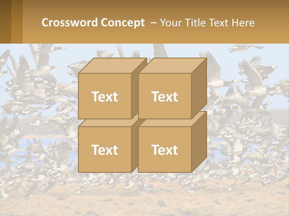 A Flock Of Birds Flying Over A Dry Grass Field PowerPoint Template