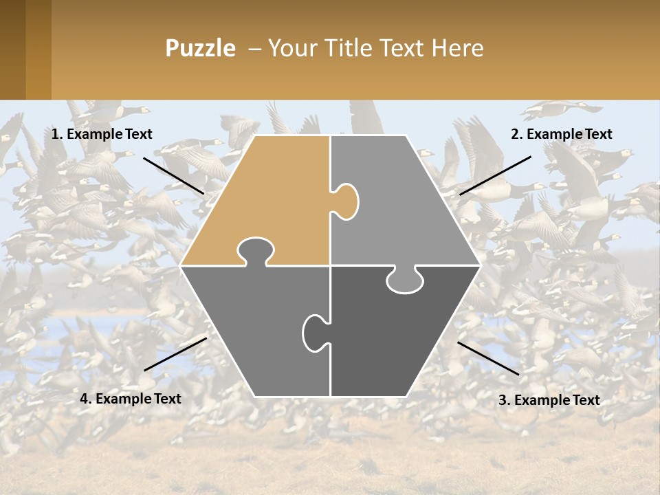 A Flock Of Birds Flying Over A Dry Grass Field PowerPoint Template