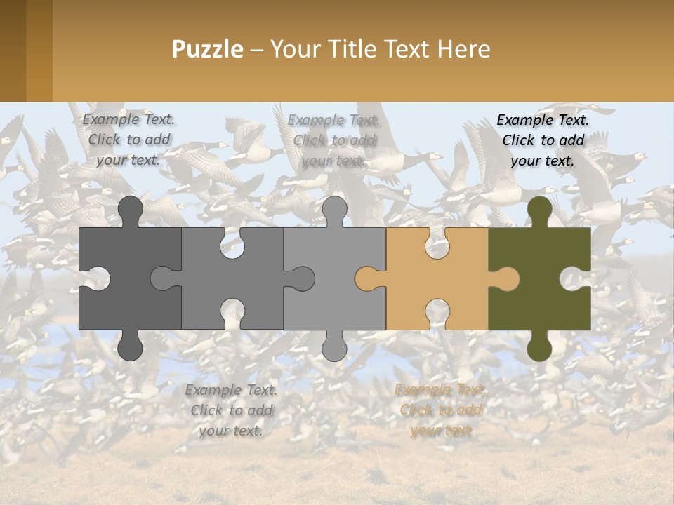 A Flock Of Birds Flying Over A Dry Grass Field PowerPoint Template