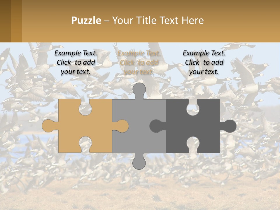 A Flock Of Birds Flying Over A Dry Grass Field PowerPoint Template