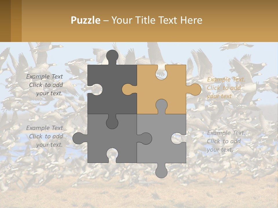 A Flock Of Birds Flying Over A Dry Grass Field PowerPoint Template