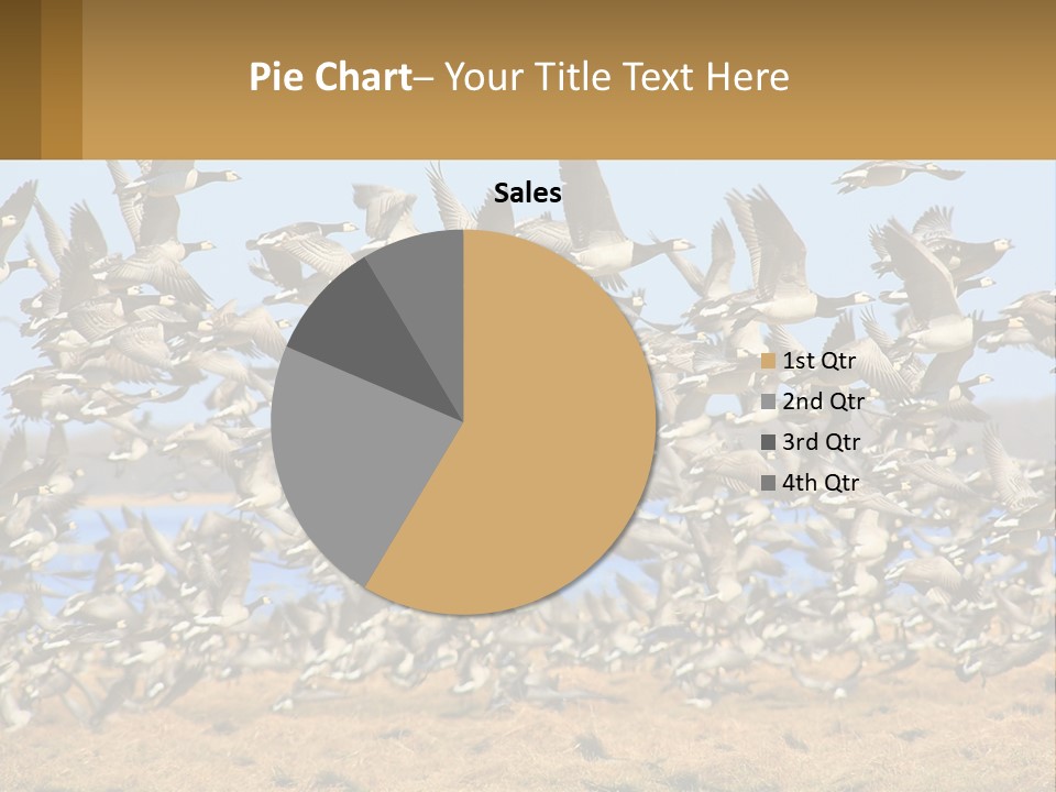 A Flock Of Birds Flying Over A Dry Grass Field PowerPoint Template