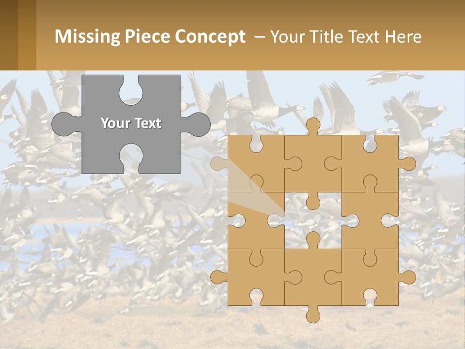 A Flock Of Birds Flying Over A Dry Grass Field PowerPoint Template