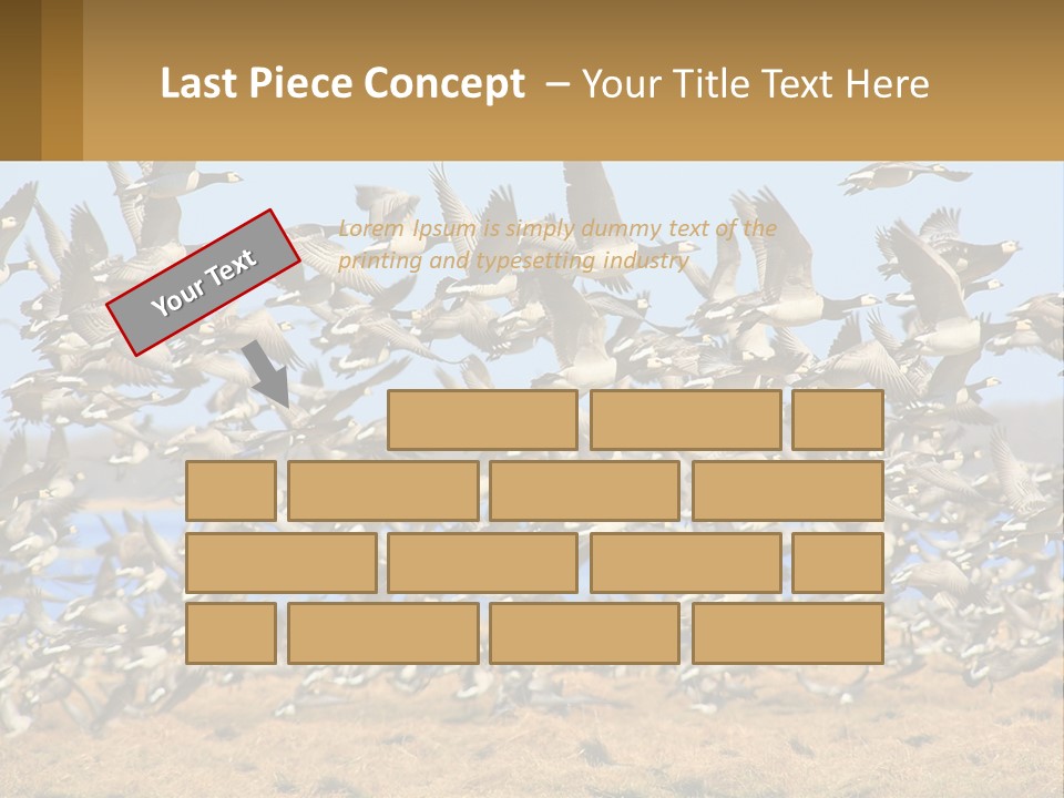 A Flock Of Birds Flying Over A Dry Grass Field PowerPoint Template