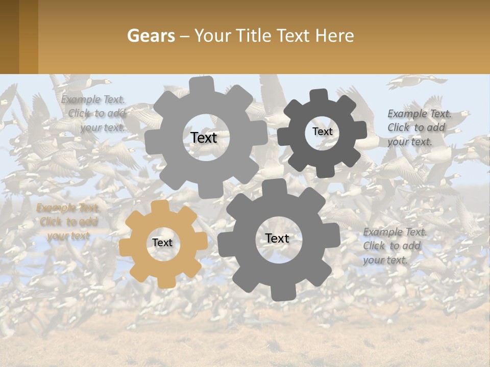 A Flock Of Birds Flying Over A Dry Grass Field PowerPoint Template