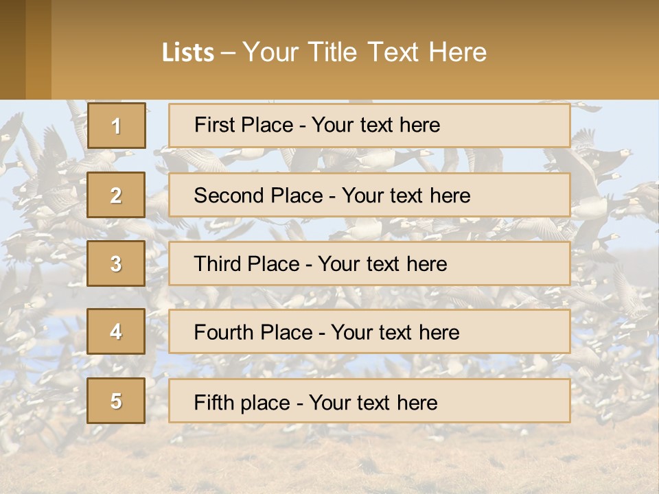 A Flock Of Birds Flying Over A Dry Grass Field PowerPoint Template