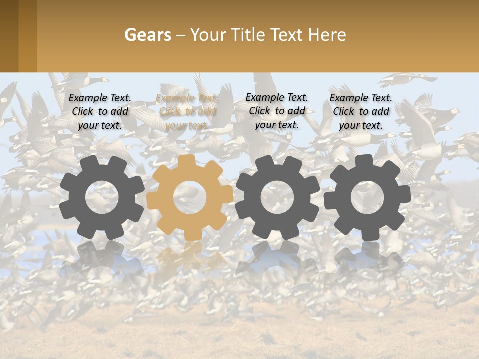 A Flock Of Birds Flying Over A Dry Grass Field PowerPoint Template