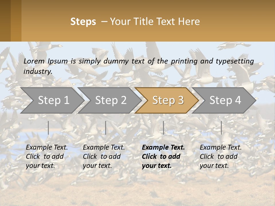 A Flock Of Birds Flying Over A Dry Grass Field PowerPoint Template