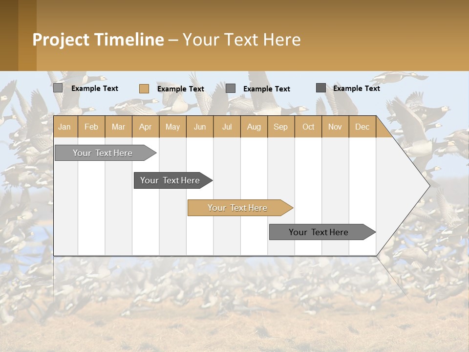 A Flock Of Birds Flying Over A Dry Grass Field PowerPoint Template