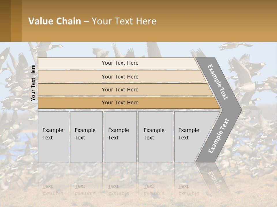 A Flock Of Birds Flying Over A Dry Grass Field PowerPoint Template
