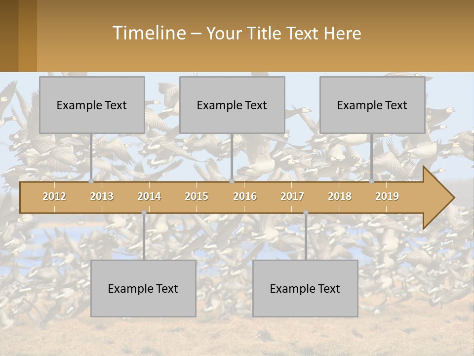 A Flock Of Birds Flying Over A Dry Grass Field PowerPoint Template