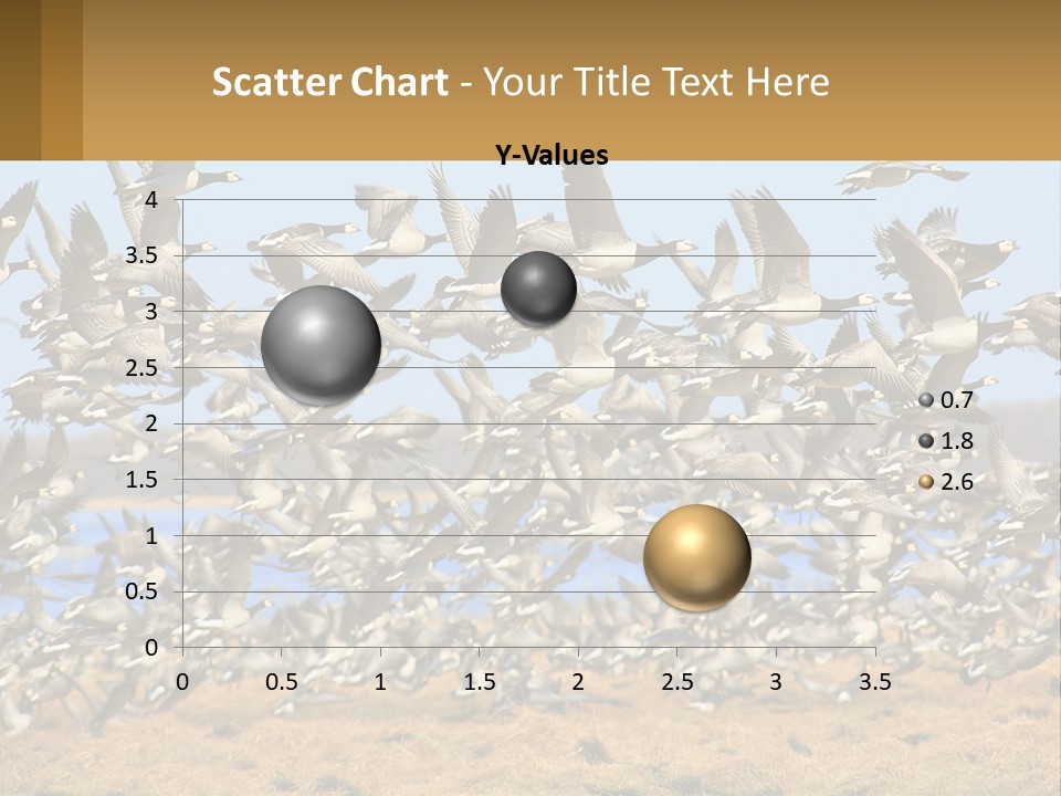 A Flock Of Birds Flying Over A Dry Grass Field PowerPoint Template