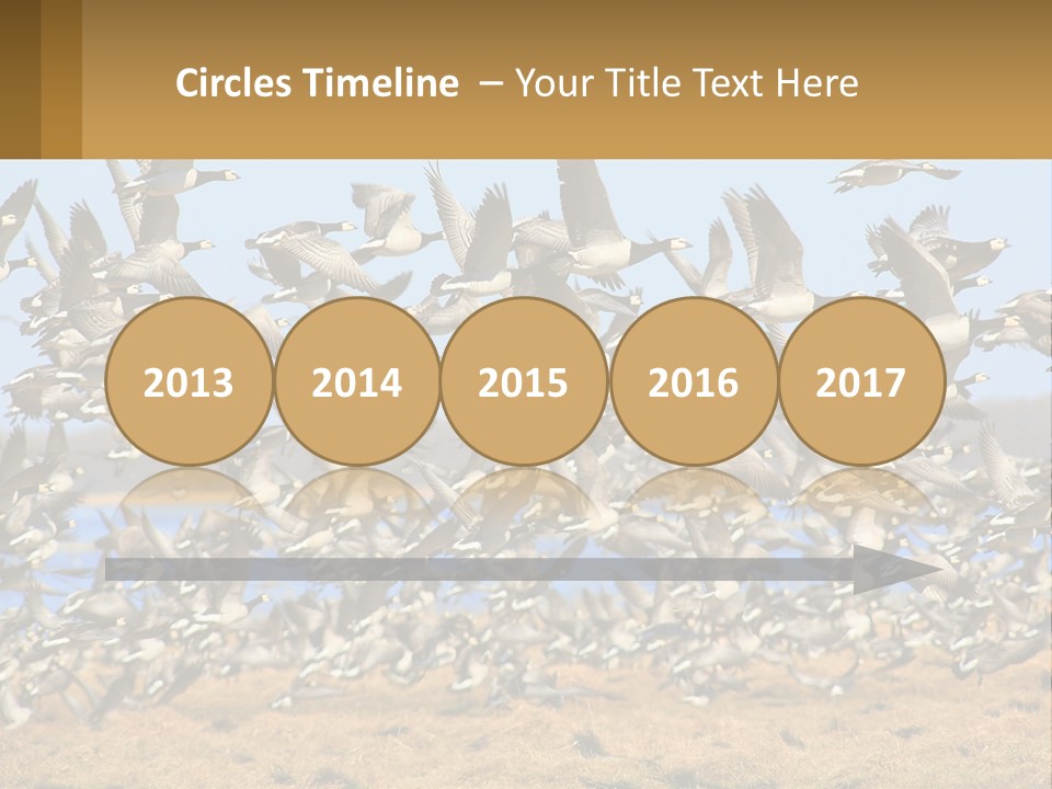 A Flock Of Birds Flying Over A Dry Grass Field PowerPoint Template