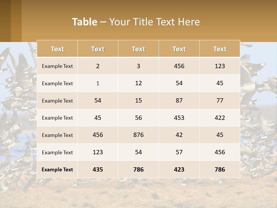 A Flock Of Birds Flying Over A Dry Grass Field PowerPoint Template