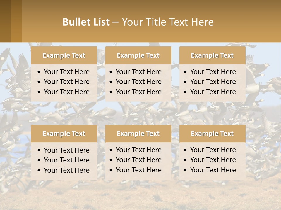 A Flock Of Birds Flying Over A Dry Grass Field PowerPoint Template