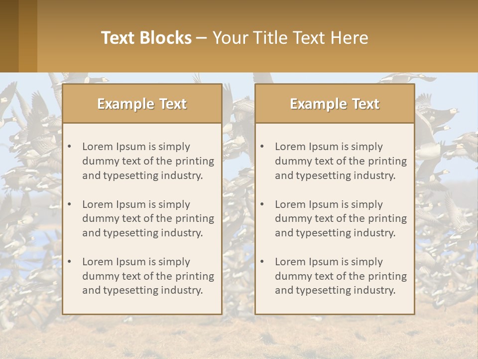 A Flock Of Birds Flying Over A Dry Grass Field PowerPoint Template