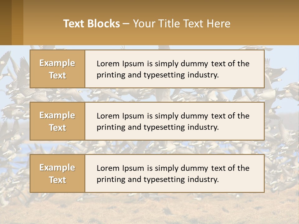 A Flock Of Birds Flying Over A Dry Grass Field PowerPoint Template