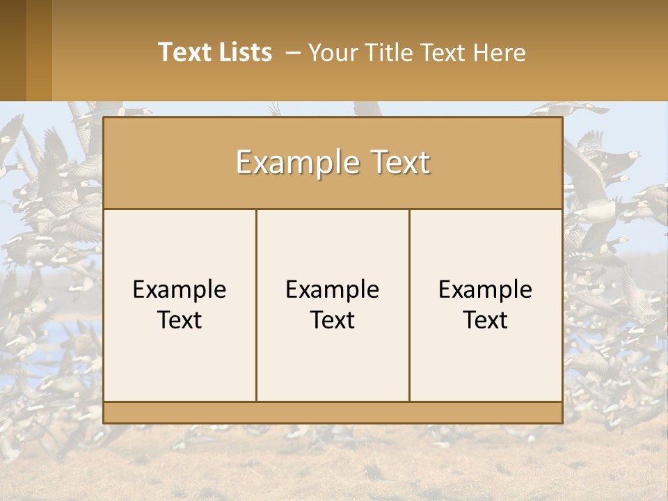 A Flock Of Birds Flying Over A Dry Grass Field PowerPoint Template