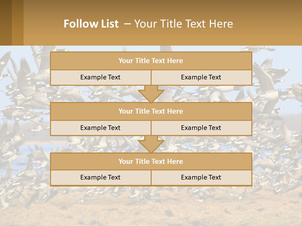 A Flock Of Birds Flying Over A Dry Grass Field PowerPoint Template