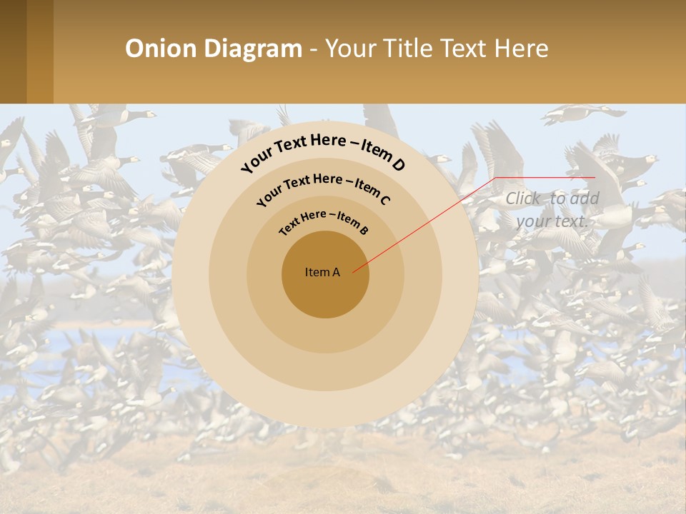 A Flock Of Birds Flying Over A Dry Grass Field PowerPoint Template