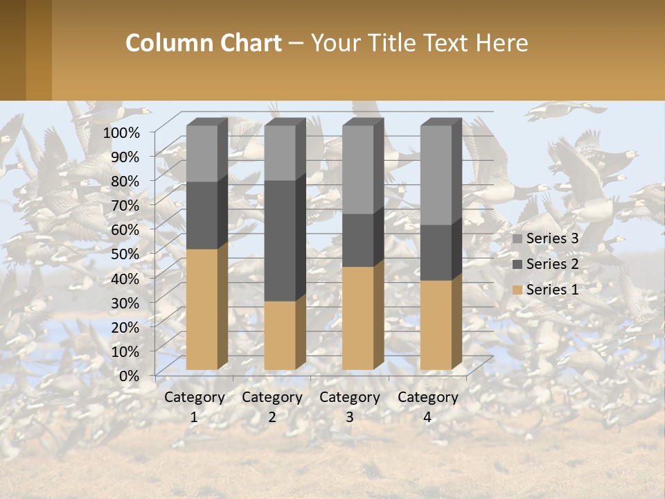 A Flock Of Birds Flying Over A Dry Grass Field PowerPoint Template